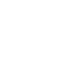 /CCF_100/citra/raw/commit/27c280534d6ed9cc4c41bba01c5bdcc9bf024235/dist/qt_themes/qdarkstyle/icons/256x256/plus_folder.png